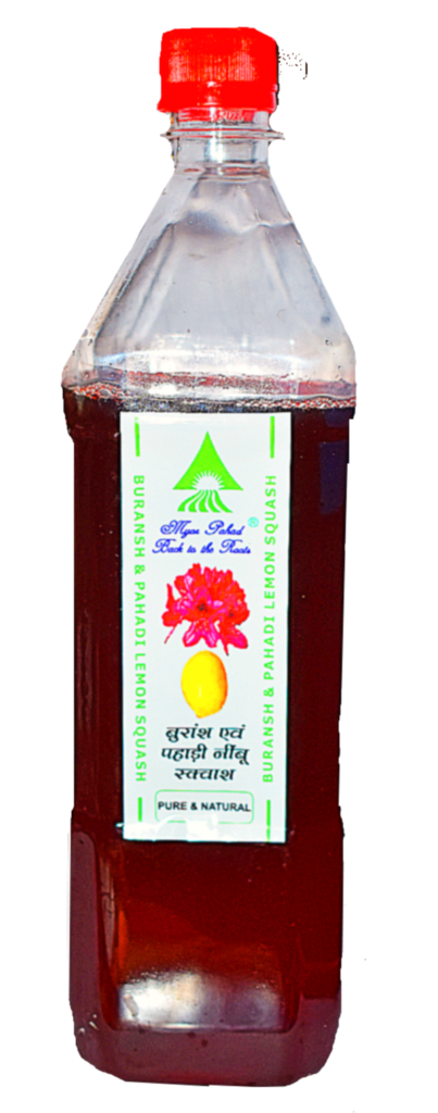 myor pahad s nature s nectar pure buransh pahadi lemon squash rhodendron extract pahadi nimbu from himalayan red flowers 900 ml pet jar bottle 100 natural from uttarakhand uttaranchal product images orvykhcgqm2 p596624152 0 202212301348