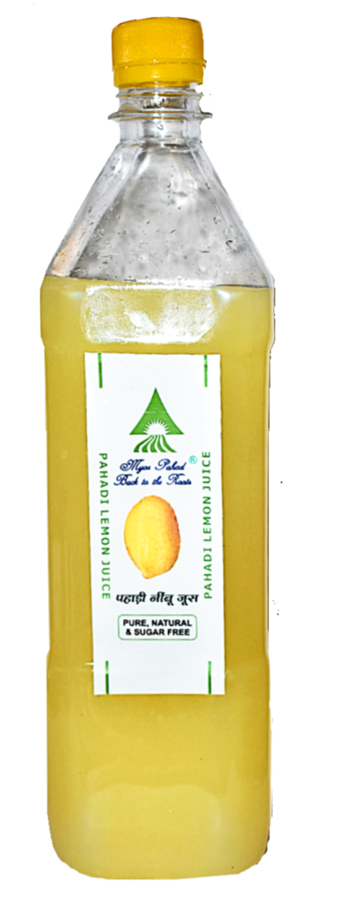 myor pahad s pahadi lemon cordial nimbu 900 ml pet jar bottle 100 natural from uttarakhand uttaranchal product images orvgu89hw28 p596624209 0 202212301355